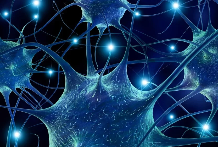 El contagio emocional libera serotonina y los traumas fomentan la resiliencia