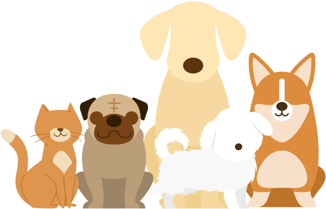Mapfre y Sura, Pioneras en Seguros Exequiales para Mascotas en Latinoamérica