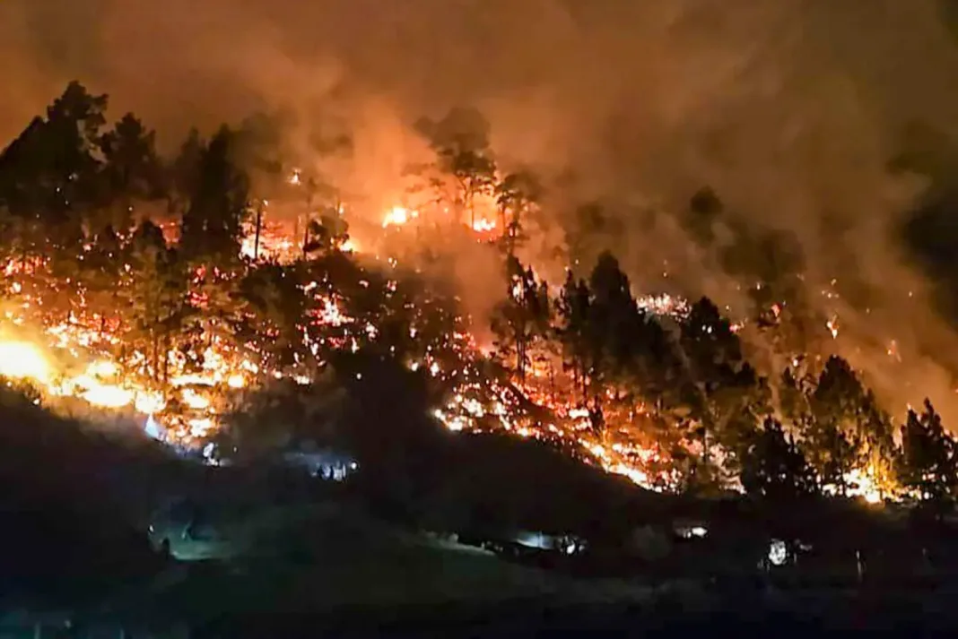 Incendio forestal en El Paso, La Palma: Evacuación de 200 personas