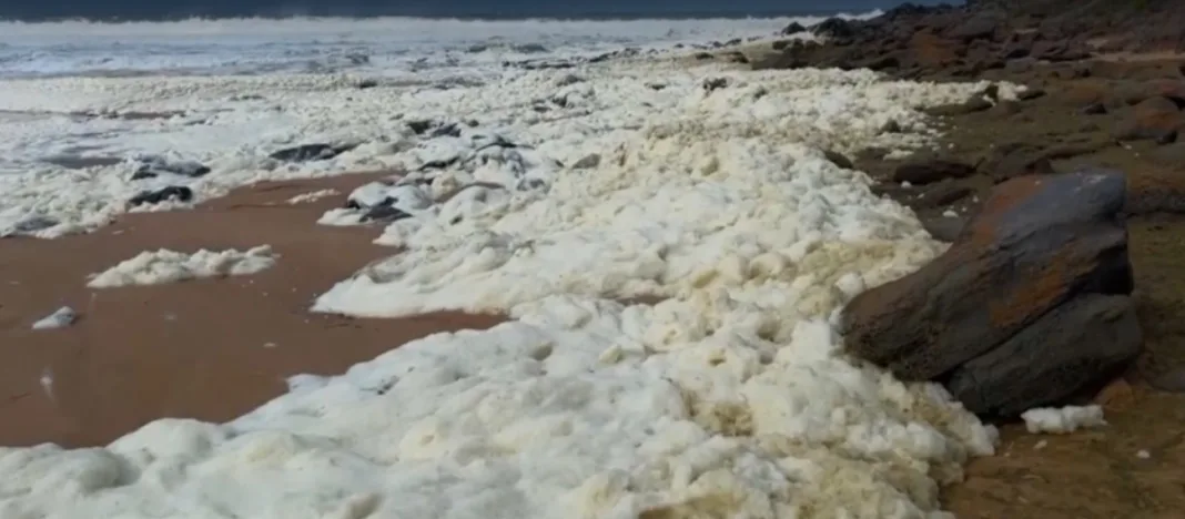 Alerta en Australia: espuma tóxica invade playas