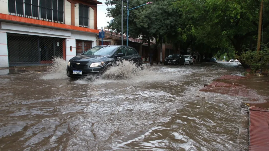 Seguros