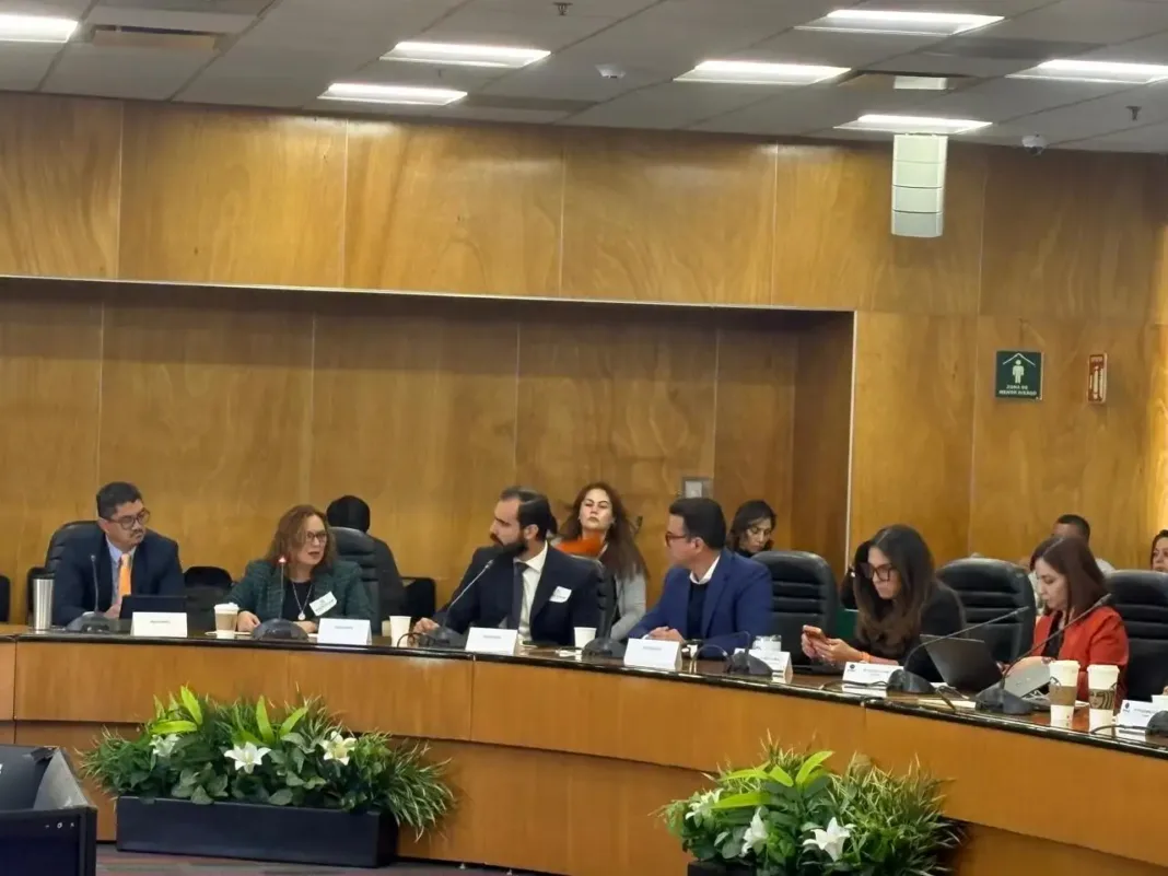 AMIS propuso reforma para proteger a adultos mayores sin quebrar seguros médicos